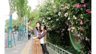 璜塘网红,揭秘网络红人的魅力与影响力