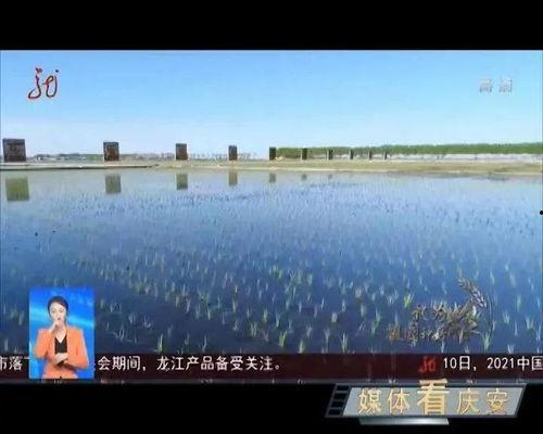 庆安头条唐宪龙图片,唐宪龙图片背后的故事