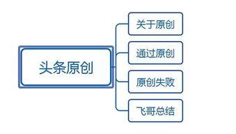 头条自媒体原创视频标签,打造爆款内容的秘诀