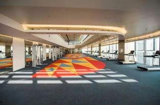 吃瓜qq总部,探寻网络红人的诞生之地”