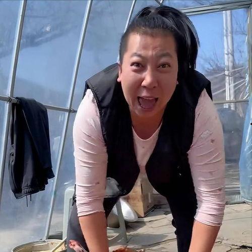 网红大东北,探寻东北风情与文化魅力