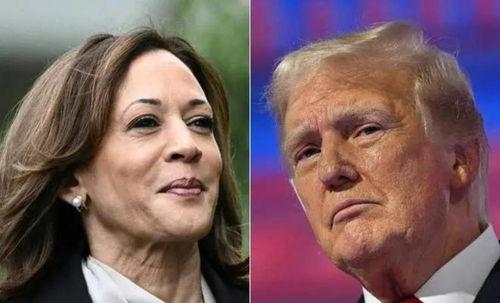 哈里斯吃瓜,揭秘娱乐圈的甜蜜“瓜”事