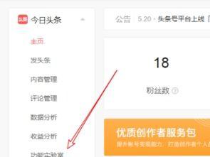 头条小店的快递怎么查看,轻松掌握物流动态”