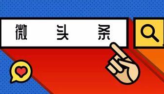 啥叫微头条,新媒体时代的便捷信息分享平台