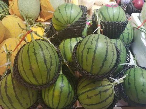 小欠吃瓜,揭秘娱乐圈最新热点事件