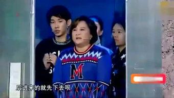 综艺吃瓜营,揭秘明星幕后故事，带你领略娱乐圈风云变幻