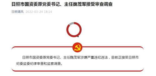 日照新闻爆料热线,倾听民声，守护城市脉搏