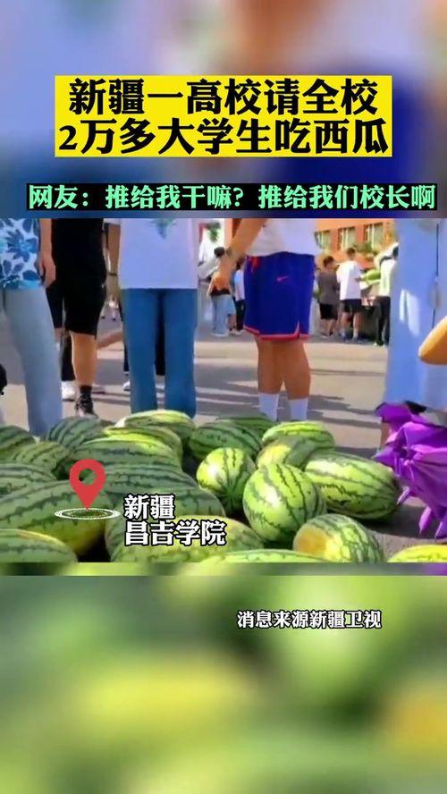 网上高校吃瓜,揭秘校园美食圈背后的“吃瓜”风云