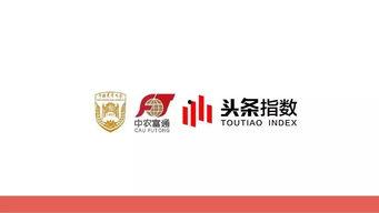 今日头条眉山大洪村