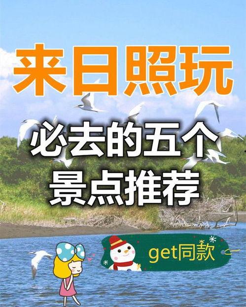 日照网红免费打卡地点