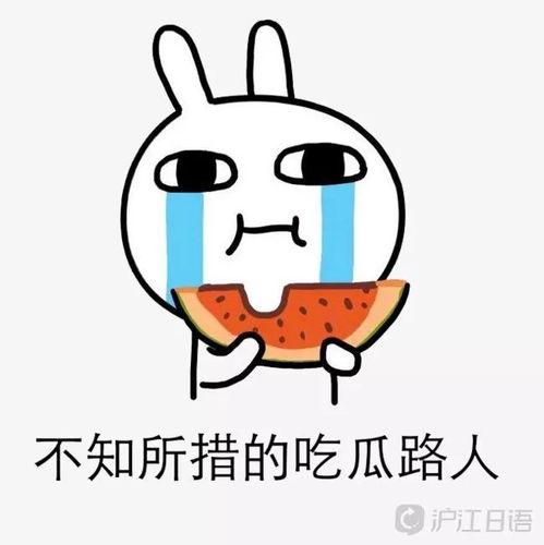 娱乐圈吃瓜大事件是什么,娱乐圈年度吃瓜大事件盘点